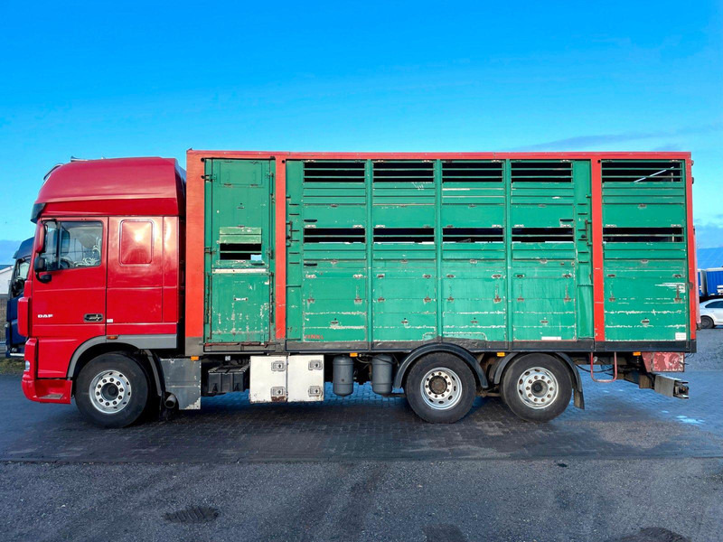DAF XF 105.460 2-Stock Finkl Viehaufbau / Lenkachs - شاحنة نقل المواشي شاحنة: صور 5 DAF XF 105.460 2-Stock Finkl Viehaufbau / Lenkachs - شاحنة نقل المواشي شاحنة: صور 5