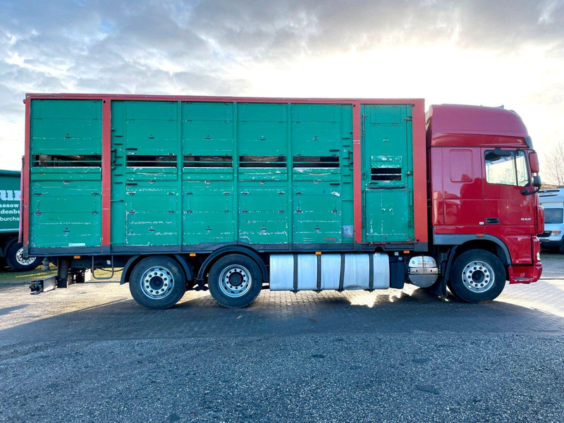 DAF XF 105.460 2-Stock Finkl Viehaufbau / Lenkachs - شاحنة نقل المواشي شاحنة: صور 4 DAF XF 105.460 2-Stock Finkl Viehaufbau / Lenkachs - شاحنة نقل المواشي شاحنة: صور 4