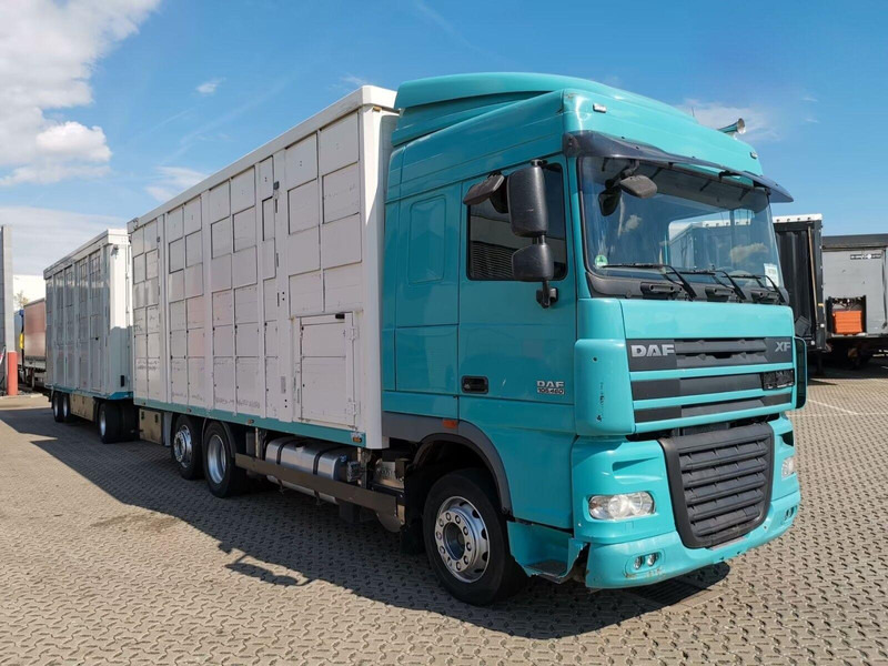 DAF XF 105.460 - Animal transporter + trailer - شاحنة نقل المواشي شاحنة: صور 2 DAF XF 105.460 - Animal transporter + trailer - شاحنة نقل المواشي شاحنة: صور 2