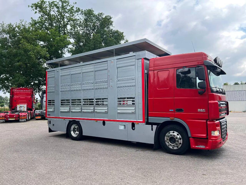 DAF XF 106.460 - Finkl Animal transporter - شاحنة نقل المواشي شاحنة: صور 2 DAF XF 106.460 - Finkl Animal transporter - شاحنة نقل المواشي شاحنة: صور 2