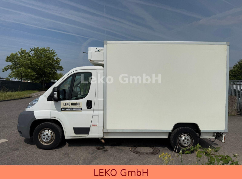Fiat Ducato 2,3 - الشاحنات الصغيرة المبردة: صور 4 Fiat Ducato 2,3 - الشاحنات الصغيرة المبردة: صور 4