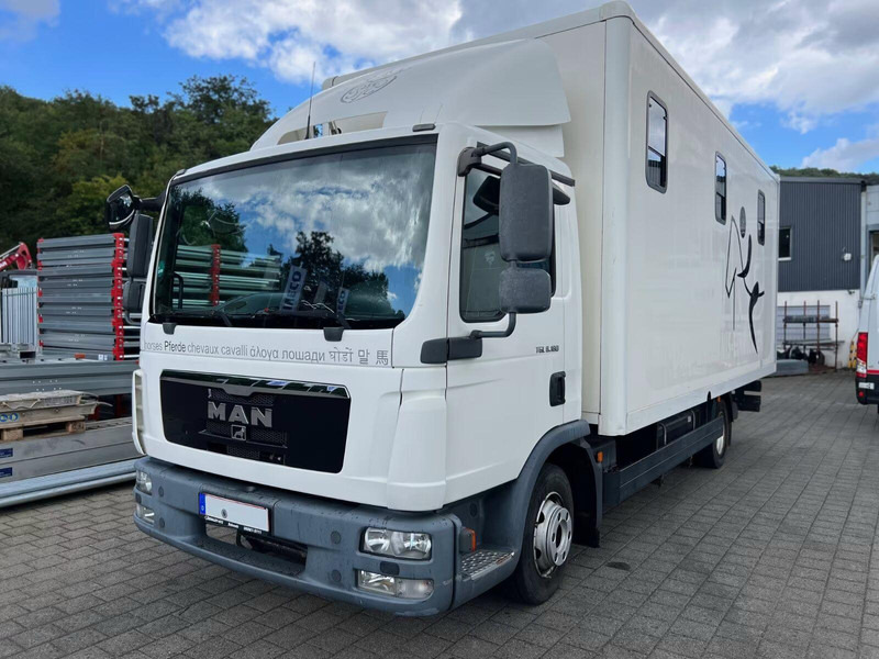 MAN TGL 8.180 - Horse transporter - شاحنة نقل خيل: صور 1 MAN TGL 8.180 - Horse transporter - شاحنة نقل خيل: صور 1