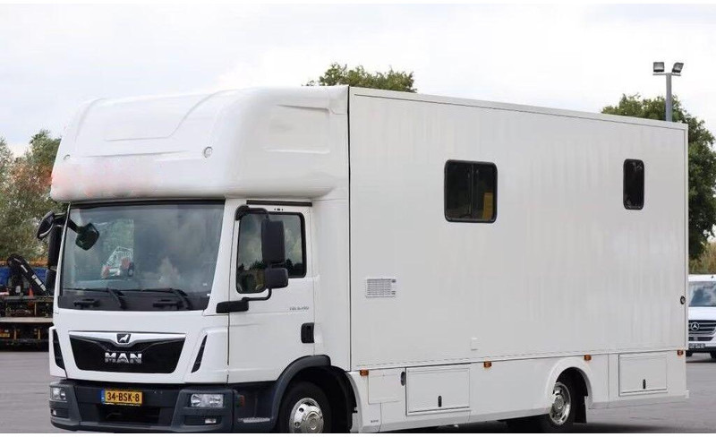 MAN TGL 8.190 - - شاحنة نقل خيل: صور 1 MAN TGL 8.190 - - شاحنة نقل خيل: صور 1