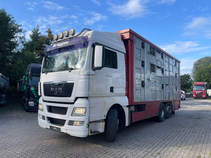MAN TGX 26.400 6x2-2 LL 3 Stück Finkl Hubdach - شاحنة نقل المواشي شاحنة: صور 2 MAN TGX 26.400 6x2-2 LL 3 Stück Finkl Hubdach - شاحنة نقل المواشي شاحنة: صور 2