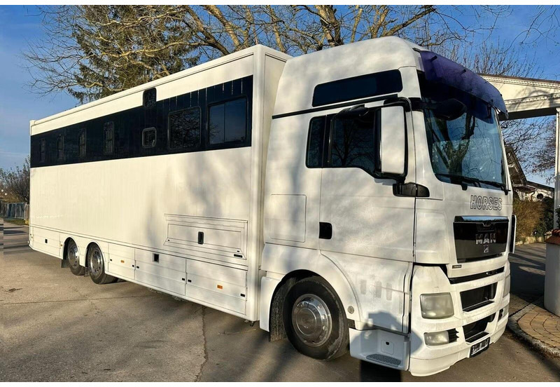 MAN TGX 26.440 - Horse transporter - شاحنة نقل خيل: صور 2 MAN TGX 26.440 - Horse transporter - شاحنة نقل خيل: صور 2