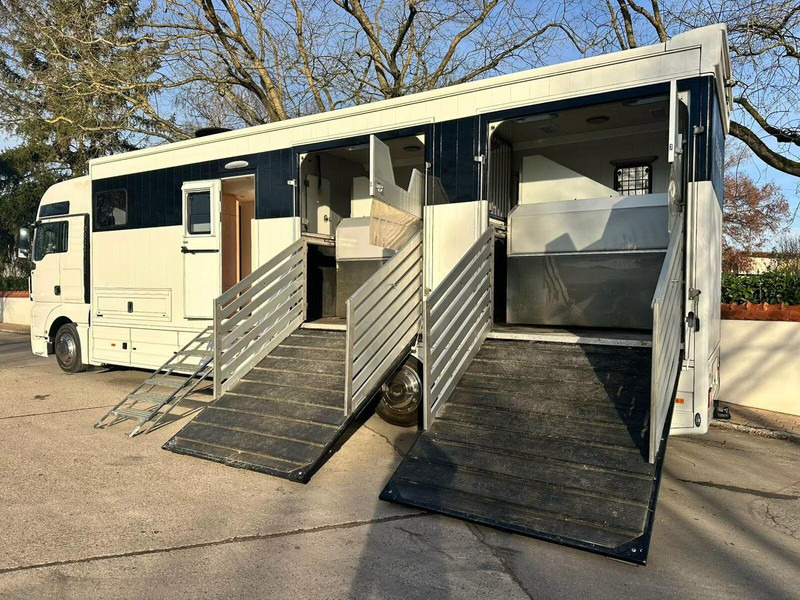 MAN TGX 26.440 - Horse transporter - شاحنة نقل خيل: صور 5 MAN TGX 26.440 - Horse transporter - شاحنة نقل خيل: صور 5