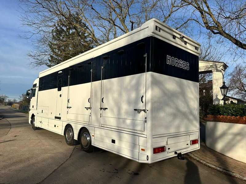 MAN TGX 26.440 - Horse transporter - شاحنة نقل خيل: صور 4 MAN TGX 26.440 - Horse transporter - شاحنة نقل خيل: صور 4