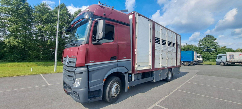 Mercedes-Benz Actros 1851 - شاحنة نقل المواشي شاحنة: صور 1 Mercedes-Benz Actros 1851 - شاحنة نقل المواشي شاحنة: صور 1