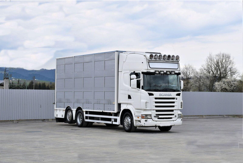 Scania R 500 - شاحنة نقل المواشي شاحنة: صور 2 Scania R 500 - شاحنة نقل المواشي شاحنة: صور 2