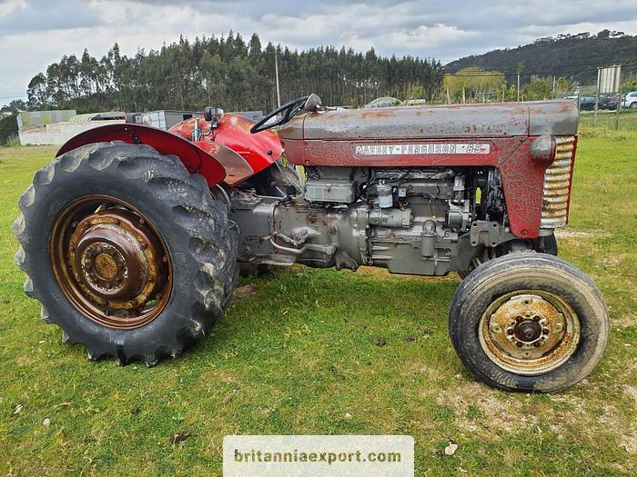 Massey Ferguson 65 | 4 cylinder diesel | disc brakes - جرار: صور 1 Massey Ferguson 65 | 4 cylinder diesel | disc brakes - جرار: صور 1