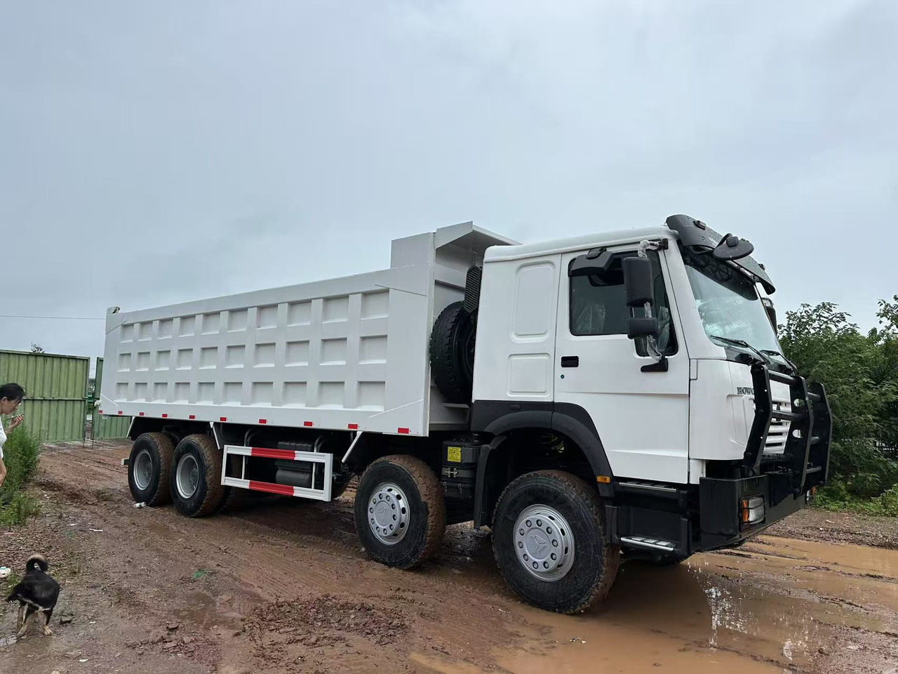 HOWO 371hp - قلابات: صور 3 HOWO 371hp - قلابات: صور 3