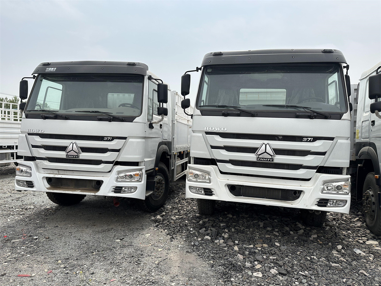 SINOTRUK HOWO 371 Cargo truck - شاحنة نقل المواشي شاحنة: صور 1 SINOTRUK HOWO 371 Cargo truck - شاحنة نقل المواشي شاحنة: صور 1