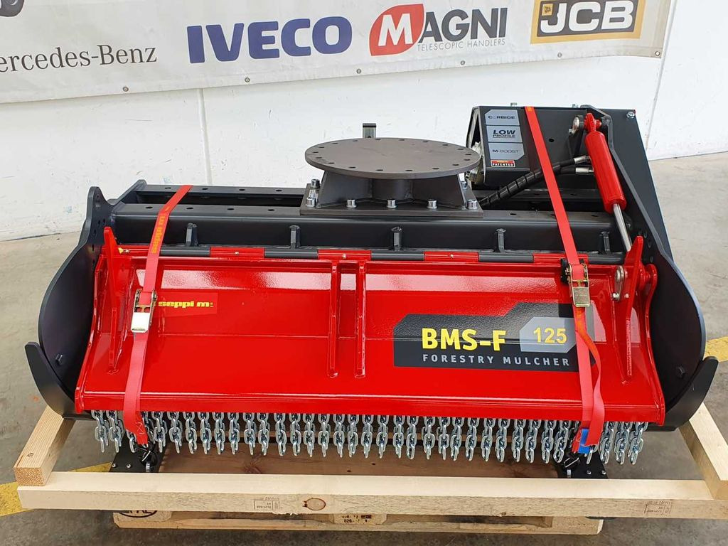 Seppi M. BMS-F 125 Forstmulcher 10-20to lagernd - ماكينات قطع الحشائش الغابات: صور 2 Seppi M. BMS-F 125 Forstmulcher 10-20to lagernd - ماكينات قطع الحشائش الغابات: صور 2