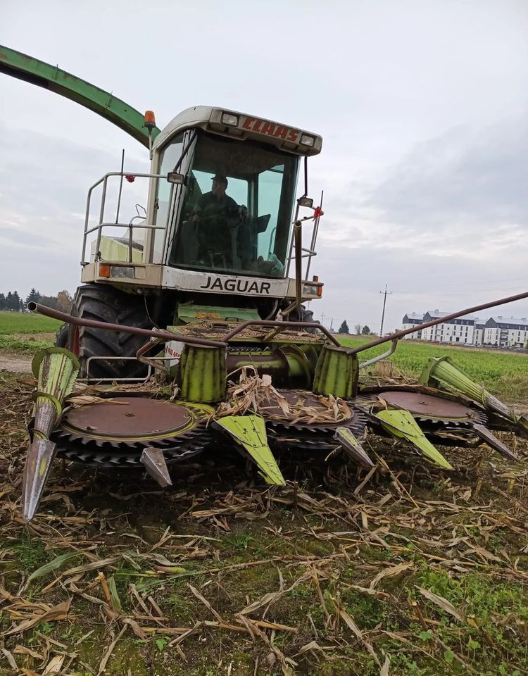 Claas Jaguar 840 - حصادة الأعلاف: صور 2 Claas Jaguar 840 - حصادة الأعلاف: صور 2