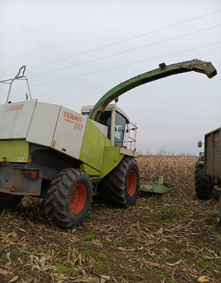Claas Jaguar 840 - حصادة الأعلاف: صور 5 Claas Jaguar 840 - حصادة الأعلاف: صور 5
