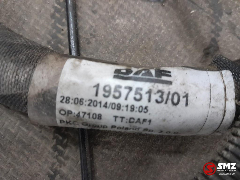 DAF Occ hoofdchassiskabelboom DAF - الكابلات / الأسلاك - شاحنة: صور 3 DAF Occ hoofdchassiskabelboom DAF - الكابلات / الأسلاك - شاحنة: صور 3