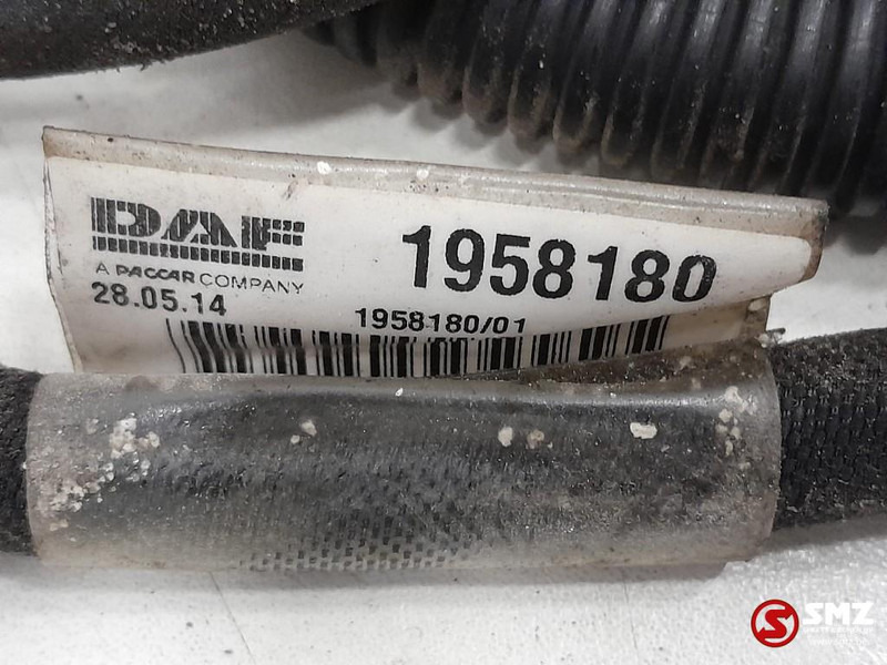 DAF Occ koplampkabelboom DAF - الكابلات / الأسلاك - شاحنة: صور 3 DAF Occ koplampkabelboom DAF - الكابلات / الأسلاك - شاحنة: صور 3