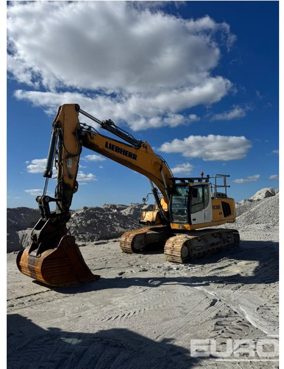 2016 Liebherr R936LC - حفارات زحافة: صور 1 2016 Liebherr R936LC - حفارات زحافة: صور 1