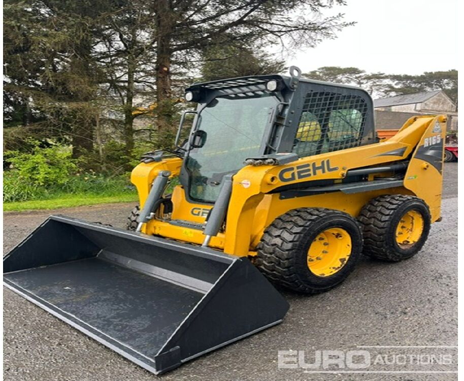 2018 Gehl R165 - شيول صغير: صور 1 2018 Gehl R165 - شيول صغير: صور 1