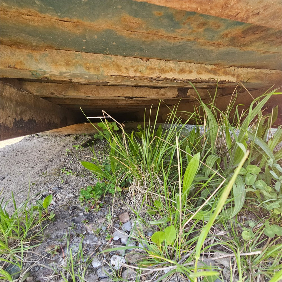 حاوية هوك لفت ABC Container: صور 19 حاوية هوك لفت ABC Container: صور 19