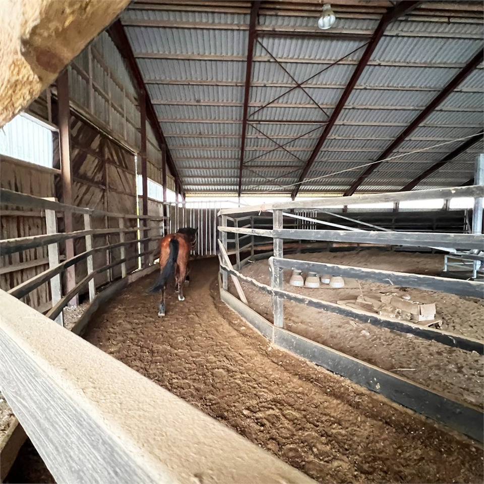 ABC Molenkoning Horse Walker - 20 meter - Se Video! - المعدات لتربية الماشية: صور 3 ABC Molenkoning Horse Walker - 20 meter - Se Video! - المعدات لتربية الماشية: صور 3