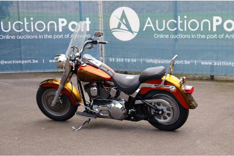 Harley-Davidson Fat Boy Softail - دراجة بخارية: صور 3 Harley-Davidson Fat Boy Softail - دراجة بخارية: صور 3