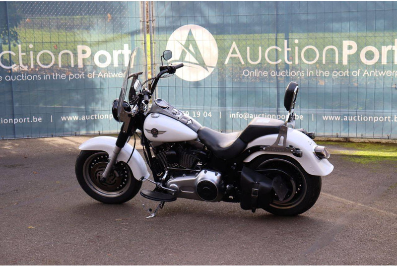 Harley-Davidson Fatboy LO - دراجة بخارية: صور 3 Harley-Davidson Fatboy LO - دراجة بخارية: صور 3