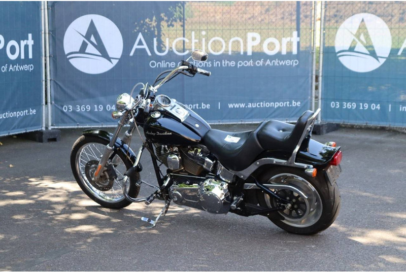 Harley-Davidson Softail Custom - دراجة بخارية: صور 3 Harley-Davidson Softail Custom - دراجة بخارية: صور 3