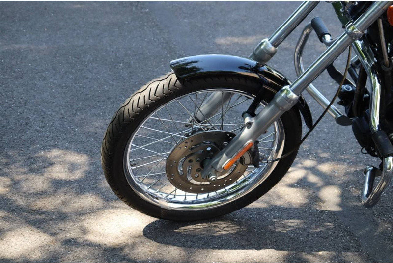 دراجة بخارية Harley-Davidson Softail Custom: صور 10 دراجة بخارية Harley-Davidson Softail Custom: صور 10