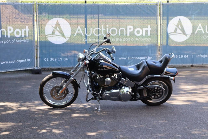 Harley-Davidson Softail Custom - دراجة بخارية: صور 1 Harley-Davidson Softail Custom - دراجة بخارية: صور 1