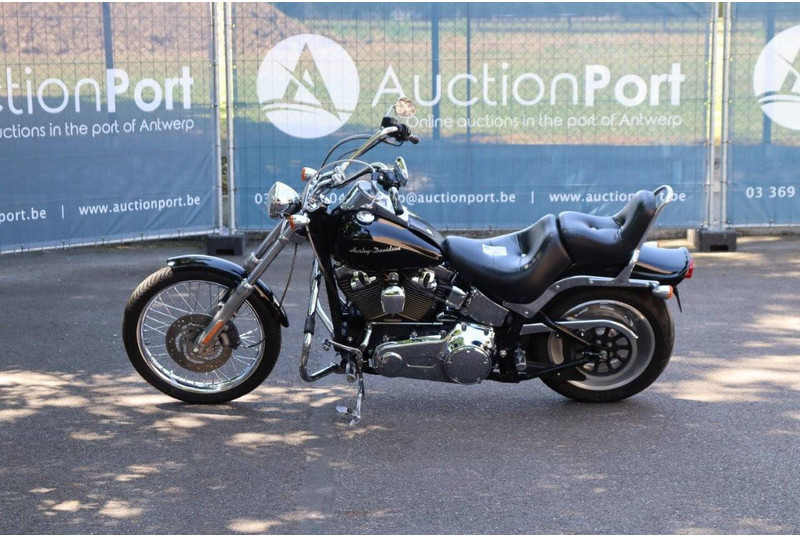 Harley-Davidson Softail Custom - دراجة بخارية: صور 2 Harley-Davidson Softail Custom - دراجة بخارية: صور 2