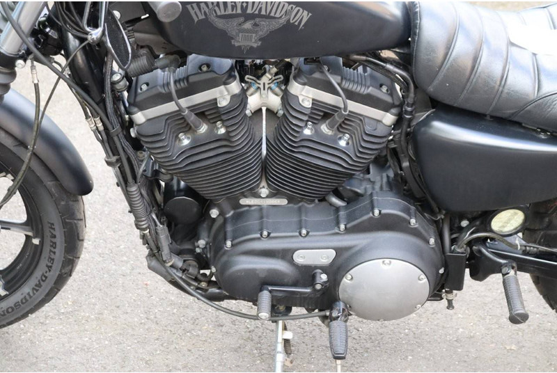 دراجة بخارية Harley-Davidson Sportster XL 883 Iron: صور 12