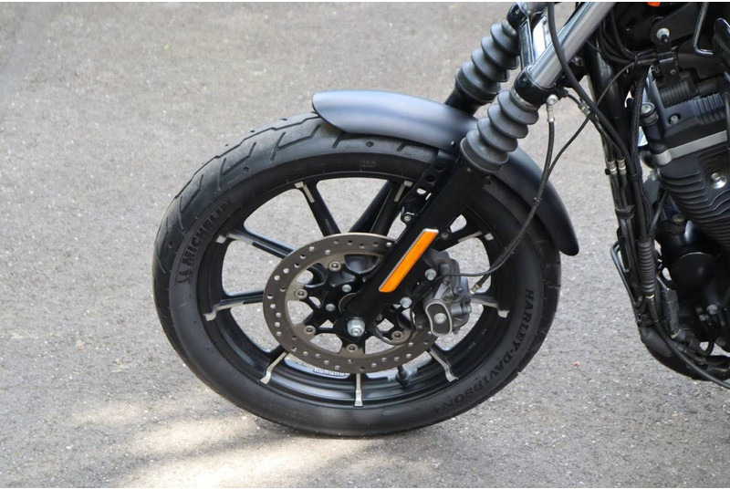 دراجة بخارية Harley-Davidson Sportster XL 883 Iron: صور 11