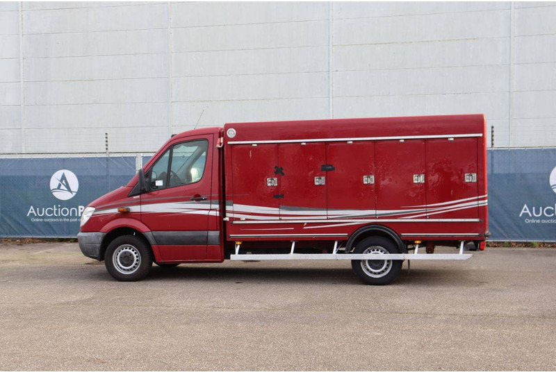 Mercedes-Benz 313CDI - الشاحنات الصغيرة صندوق مغلق: صور 3 Mercedes-Benz 313CDI - الشاحنات الصغيرة صندوق مغلق: صور 3