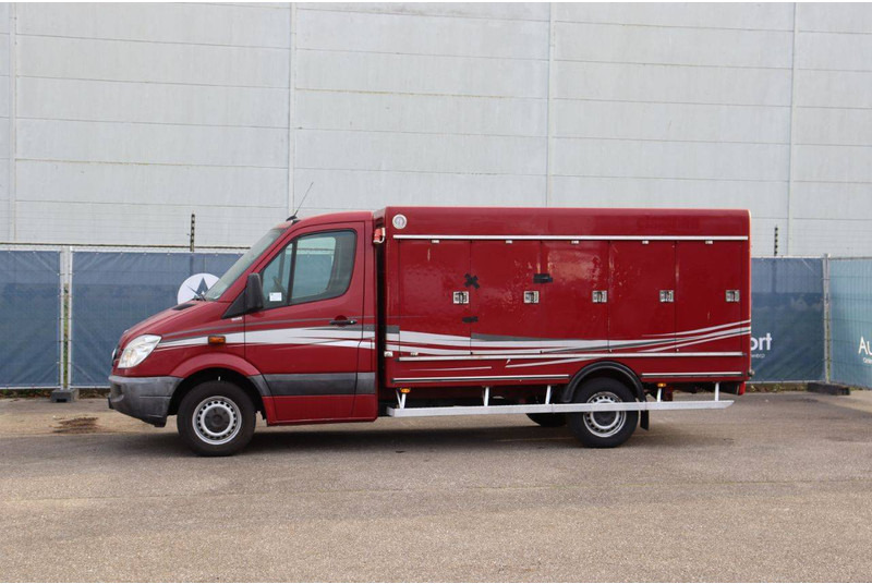 Mercedes-Benz 313CDI - الشاحنات الصغيرة صندوق مغلق: صور 1 Mercedes-Benz 313CDI - الشاحنات الصغيرة صندوق مغلق: صور 1