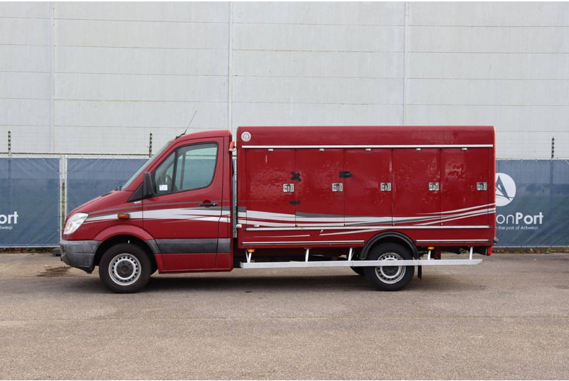 Mercedes-Benz 313CDI - الشاحنات الصغيرة صندوق مغلق: صور 2 Mercedes-Benz 313CDI - الشاحنات الصغيرة صندوق مغلق: صور 2