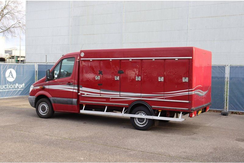 Mercedes-Benz 313CDI - الشاحنات الصغيرة صندوق مغلق: صور 4 Mercedes-Benz 313CDI - الشاحنات الصغيرة صندوق مغلق: صور 4