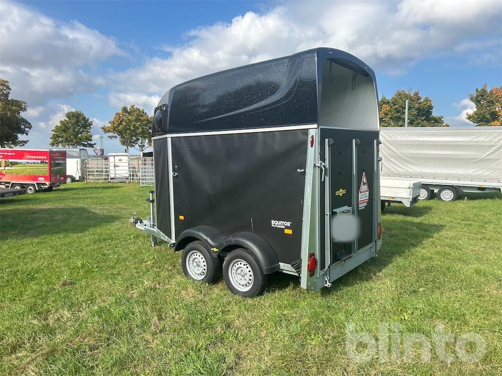 Humbauer Equitos Plywood (2025) - عربة نقل خيل: صور 3 Humbauer Equitos Plywood (2025) - عربة نقل خيل: صور 3