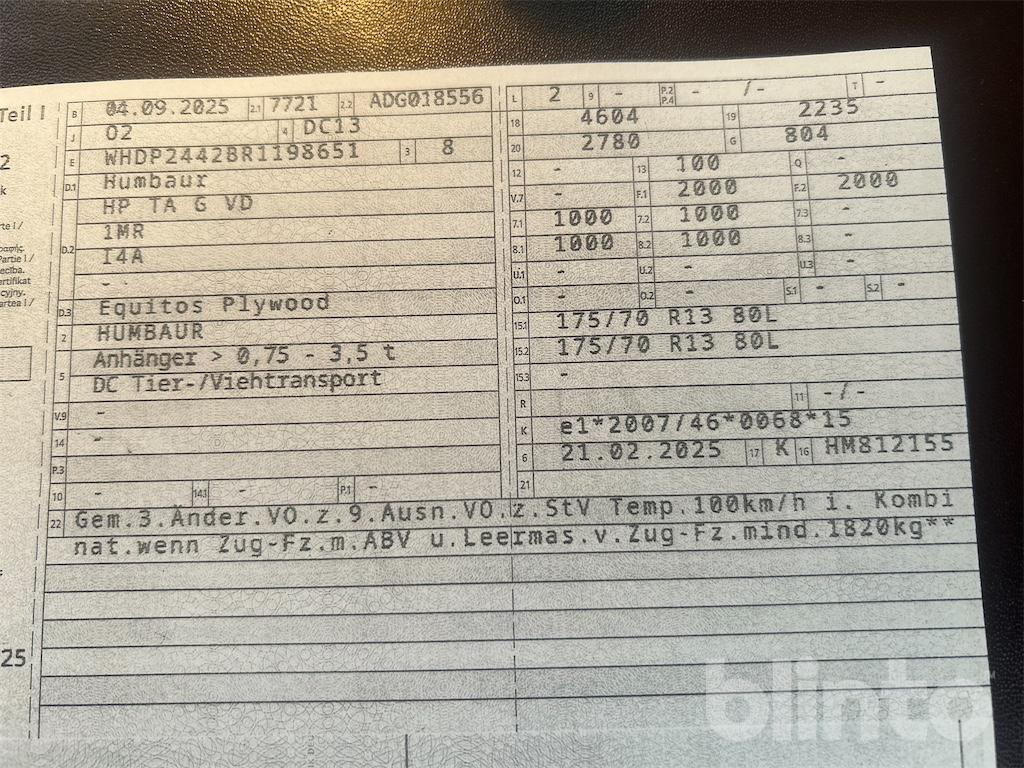 Humbauer Equitos Plywood (2025) - عربة نقل خيل: صور 5 Humbauer Equitos Plywood (2025) - عربة نقل خيل: صور 5