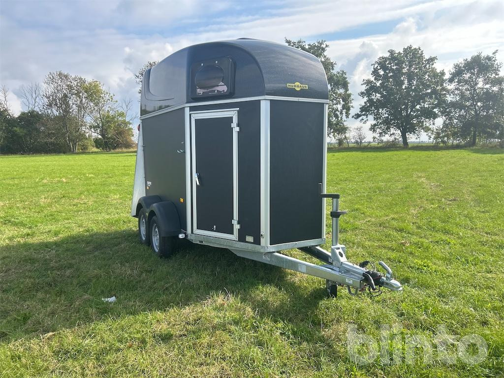 Humbauer Equitos Plywood (2025) - عربة نقل خيل: صور 2 Humbauer Equitos Plywood (2025) - عربة نقل خيل: صور 2