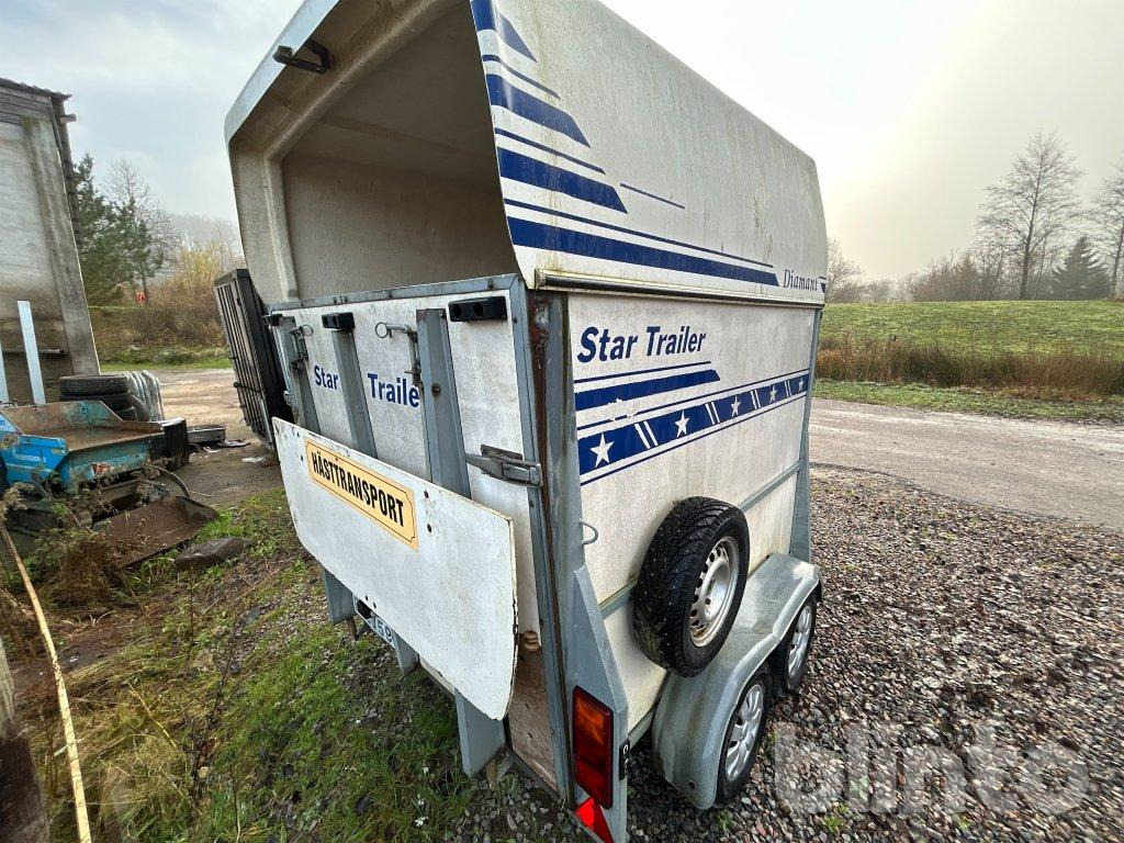 Star Trailer Diamant - عربة نقل خيل: صور 5 Star Trailer Diamant - عربة نقل خيل: صور 5