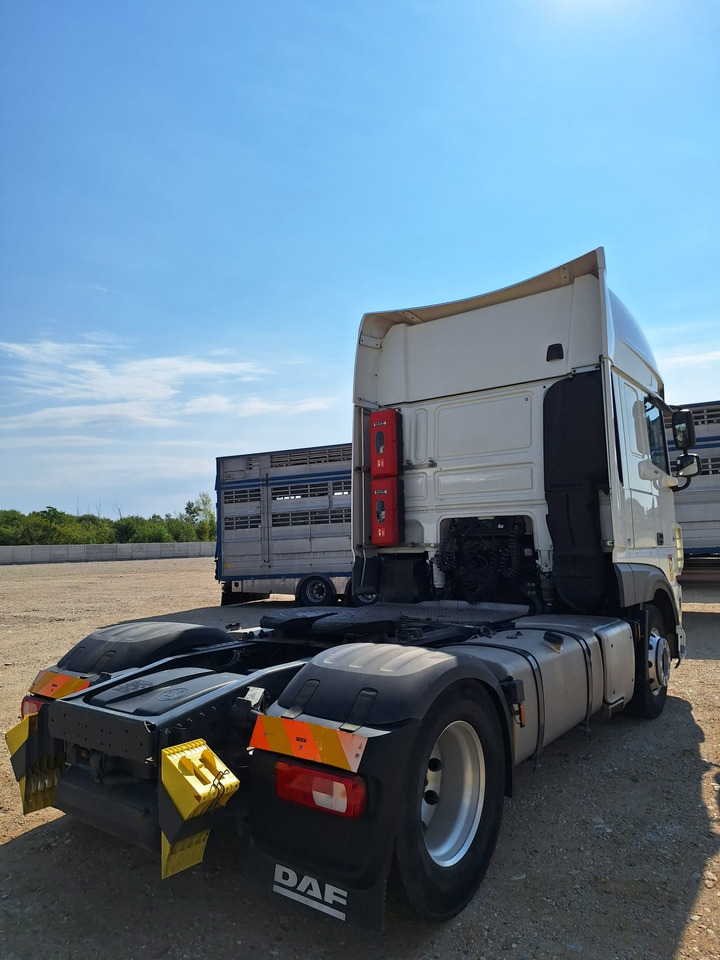 DAF XF 480 - شاحنة جرار: صور 5 DAF XF 480 - شاحنة جرار: صور 5