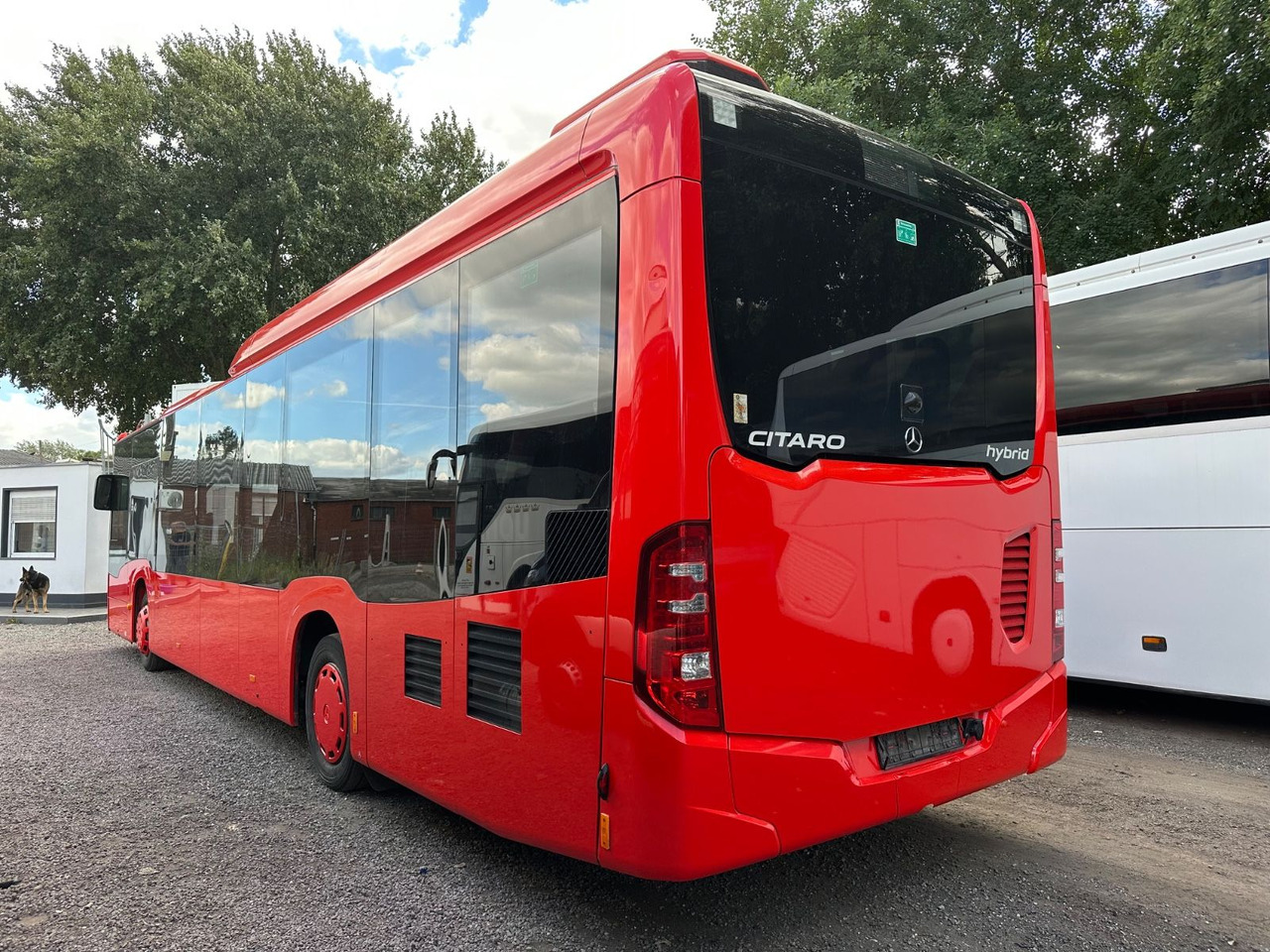 Mercedes-Benz O 530 C2 Citaro LE 260KW*Klimaanlage - النقل الحضري: صور 3 Mercedes-Benz O 530 C2 Citaro LE 260KW*Klimaanlage - النقل الحضري: صور 3