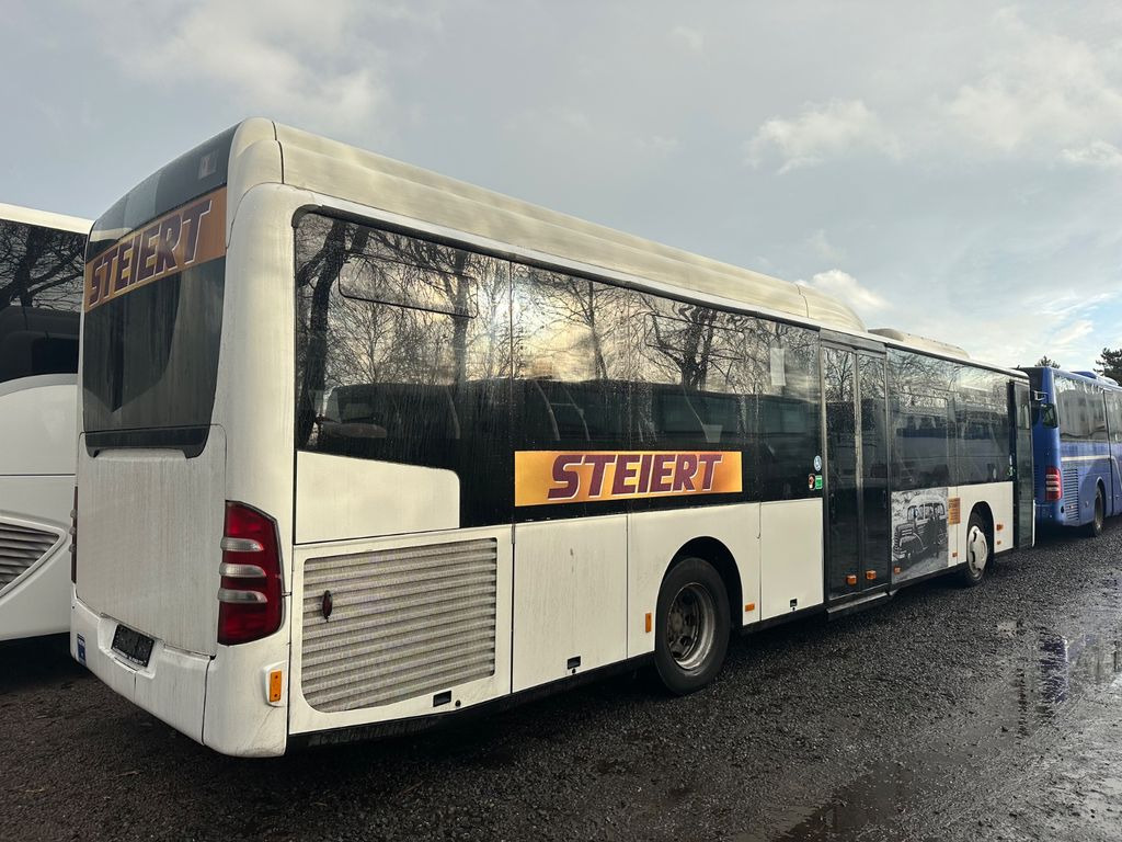 Mercedes-Benz O 530 Citaro LE (Euro 5, Klima) Mercedes-Benz O 530 Citaro LE (Euro 5, Klima) - النقل الحضري: صور 2 Mercedes-Benz O 530 Citaro LE (Euro 5, Klima) Mercedes-Benz O 530 Citaro LE (Euro 5, Klima) - النقل الحضري: صور 2