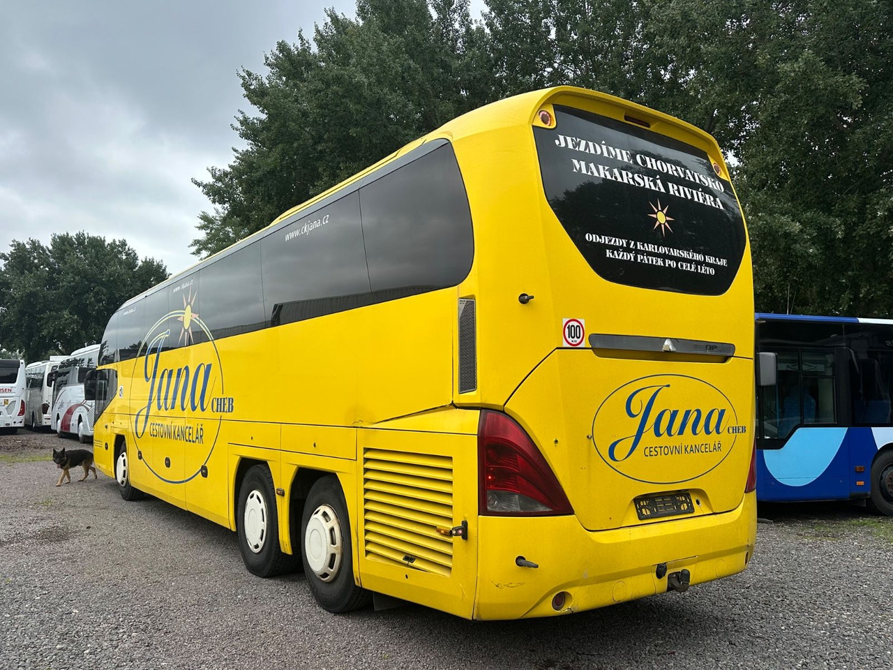 Neoplan P15 Cityliner Euro4*55 Sitze - سياحية حافلة: صور 2 Neoplan P15 Cityliner Euro4*55 Sitze - سياحية حافلة: صور 2